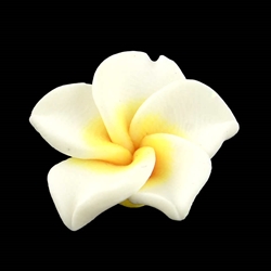 Fimo perle. Blomst. Plumeria. 30 mm. Hvid.