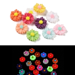 Resin cabochon. Marguerit. Selvlysende. Mix. 11 mm. 40 stk.