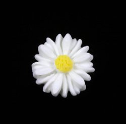  Resin cabochon "Marguerit". 13 mm. Hvid/off-white. 10 stk.