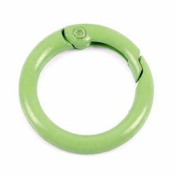 Nøglering "karabin" med fjederlukke. Lakeret. 25 mm. Lys grøn