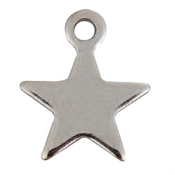 Vedhæng. Lille stjerne i rustfri stål. 11 mm